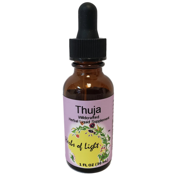 thuja extrakt Thuja Extract | Cleansing Herb | Herbal Tincture